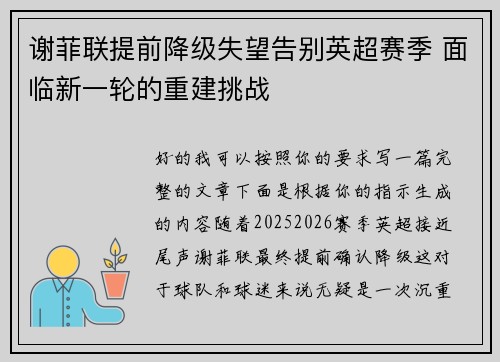 谢菲联提前降级失望告别英超赛季 面临新一轮的重建挑战